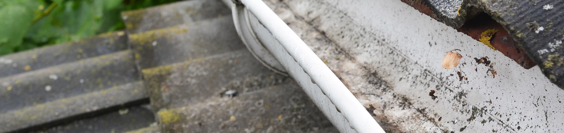 Protege las bajadas de agua y canaletas de PVC